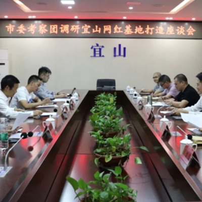 市委组织部到宜山网红基地指导调研