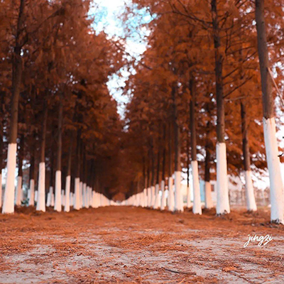 宜山又解锁一个网红打卡地,就在……