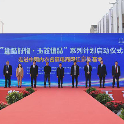 聚集苍南这个镇迎来多方关注新发展